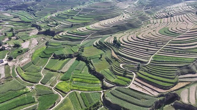 Gansu Terraced Agricultural Fields Aerial Scenery, China