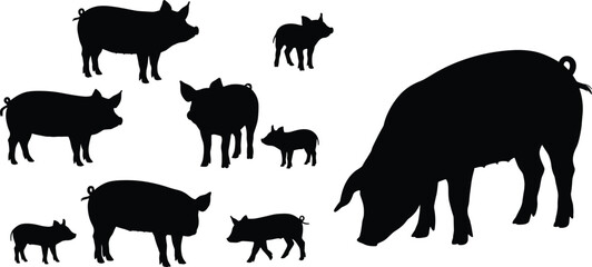 Black pig silhouettes set showing adult pigs and piglets isolated on white background, farm livestock shapes for agriculture design, logos, posters, and illustrations © Shahariar's World
