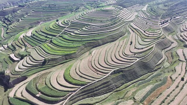 Gansu Agricultural Terraces Aerial View, China