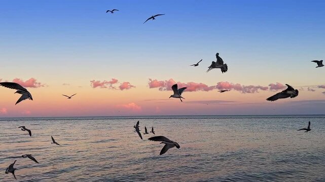 Seagulls flying active over ocean at colorful tropical sunset