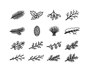 Winter Plant Icons. Winter frost plant icons. Line outline icon set of Winter frost plant icons: pine branch,