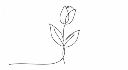 One line drawing tulip flower Tulip flower continuous one line drawing Minimalist tulip line art illustration © Ahamad