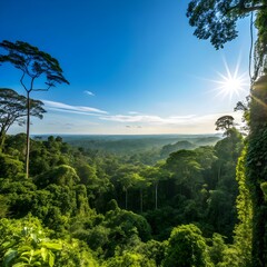 Panoramic view of an Amazon rainforest under a sunny blue sky