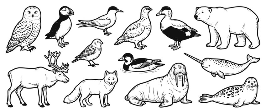 Hand drawn wild animals and birds illustration set in black and white line art style. Forest and arctic animals sketches for education, posters, books, prints, kids design and nature projects.