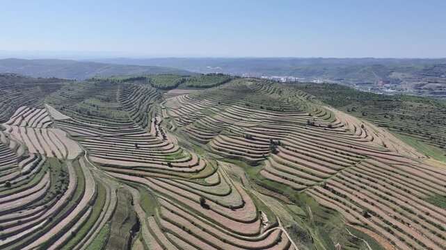 Gansu Terraced Fields Aerial Landscape, China