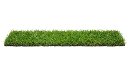 Strip of Green Grass on White Background