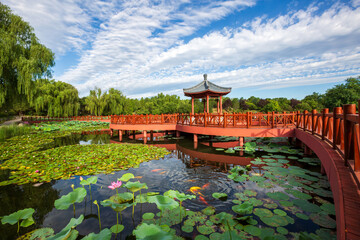 Naklejka premium Chinese-style lotus pond and pavilion bridge beautiful landscape at Yuanmingyuan, Beijing, China