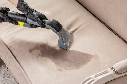 Upholstery extractor removes sofa stain, professional furniture cleaning service