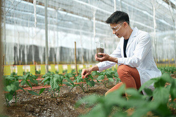 Agronomist checking soil quality in greenhouse