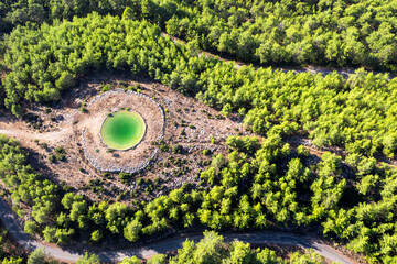 The Eye of the Forest