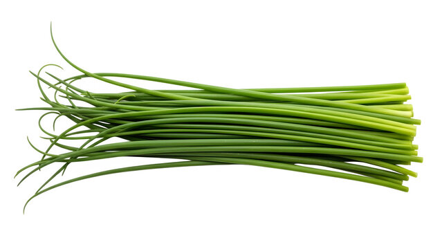 Fresh green chives isolated on transparent background