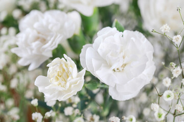White carnations and gypsophila paniculata in one arrangement. Bridal floristry.