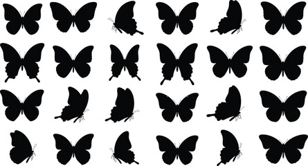 Fototapeta premium Large collection of black butterfly silhouettes with various wing shapes and flight positions isolated on white background for nature wildlife and summer garden design.