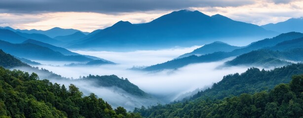 Panoramic landscape of misty mountains and foggy valleys at sunrise dawn