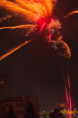 Spektakularny nocny pokaz fajerwerków na ciemnym niebie z wielobarwnymi smugami. © Pol Badger