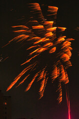 Spektakularny nocny pokaz fajerwerków na ciemnym niebie z wielobarwnymi smugami. © Pol Badger