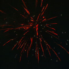 Spektakularny nocny pokaz fajerwerków na ciemnym niebie z wielobarwnymi smugami. © Pol Badger