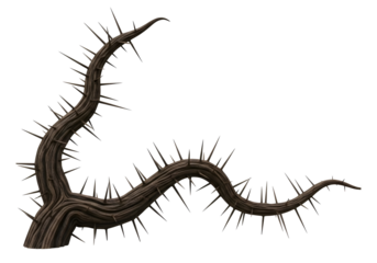 Brown caterpillar with sharp spines isolated on transparent background crawling slowly