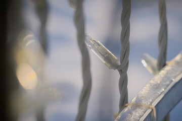 Christmas String Lights in Daylight Close-Up