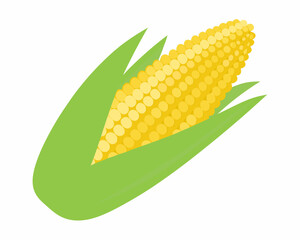 A vibrant illustration of fresh corn on the cob with green husks