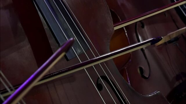 Musicians actively play string instruments cellos with bows drawn across strings. Collaborative nature of ensemble music performance