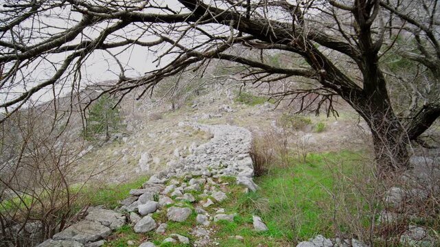 A ground level pan shows a sinuous dry stone path on a limestone hillside, framed by leafless branches, sparse shrubs, and a lone conifer in overcast late winter light.