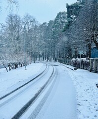 Fototapeta premium winter road in the snow