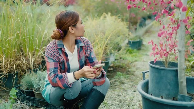 Woman Using Smart-phone in Garden