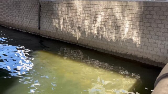 Dance of light reflection on river embankment wall, beautiful moving water caustic patterns created by sunlight hitting the rippling surface, relaxing nature background with gentle sway motion.