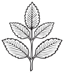 Botanical Line Art Illustration Featuring Branch with Five Leaves on a Stem Minimalistic Aesthetic