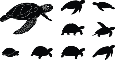 Collection of sea turtle silhouettes in swimming and crawling poses, black marine reptile vector illustrations isolated on white background for ocean, wildlife and nature design use