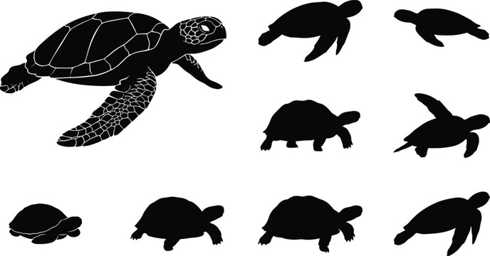 Collection of sea turtle silhouettes in swimming and crawling poses, black marine reptile vector illustrations isolated on white background for ocean, wildlife and nature design use