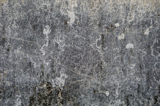 A raw and detailed capture of a weathered grey stone surface. The concept focuses on 'Industrial Minimalism' and 'Abstact Texture', featuring natural cracks, scratches, and mineral deposits. This vers