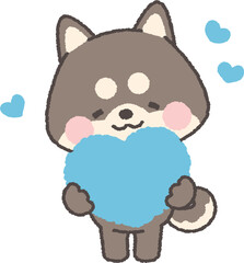 ハートを持つ黒い柴犬