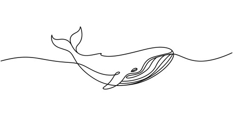 Whale tail drawing by one continuous line, blue whale drawing by one continuous line, Print Continuous one line drawing of orca whale. One line drawing illustration of whale killer fish. © Creative Tania