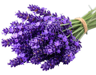 A close-up shot of a lavender bouquet, bound by twine, with vibrant purple flower clusters