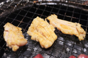 黒毛和牛 上ミノ（ホルモン）