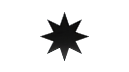 Black 8-pointed star emblem with metallic outline on a gray background