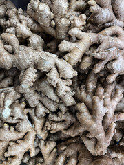 Pile of fresh ginger root for healthy cooking. Natural spice and herbal medicine concept. Wholesome...
