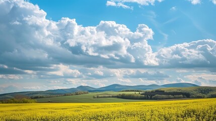 Fototapeta premium Capture the essence of spring with these stunning garden scenery pictures, featuring colorful tulips, fragrant roses, delicate cherry blossoms, and lush green lawns under warm sunlight. Ideal for home