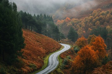 Winding road through misty autumn forest in serene hills