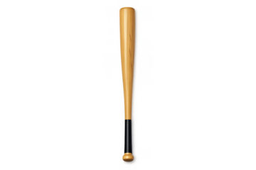 Minimalist baseball bat design for sports and fitness enthusiasts