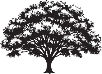 Fototapeta premium Black Silhouette of a Tree with Leafy Branches Isolated