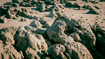 On the shores of the Atlantic Ocean, Morocco