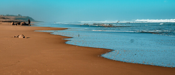 On the shores of the Atlantic Ocean, Morocco