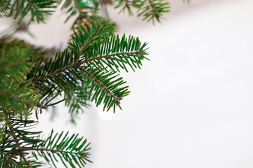 Obraz premium Beautiful Christmas tree with festive lights on light background, closeup. Space for text