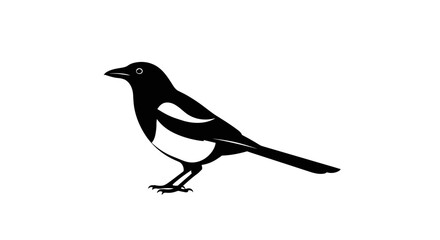 Obraz premium Elegant Magpie Illustration A Striking Black and White Bird Design.