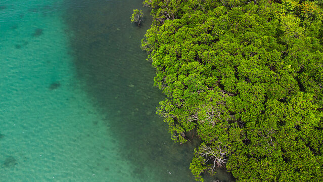Aerial view of Cap tribulation, Queensland, Australia