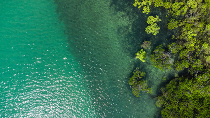 Aerial view of Cap tribulation, Queensland, Australia