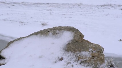 Snow layers accumulating on rugged rock during severe winter storm in frozen mountain landscape. Icy formations shaped by blizzard winds reveal harsh cold season textures across alpine nature.